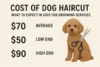 Cost of Dog Haircut: Best to Expect in 2025 for Grooming Services - Post Thumbnail
